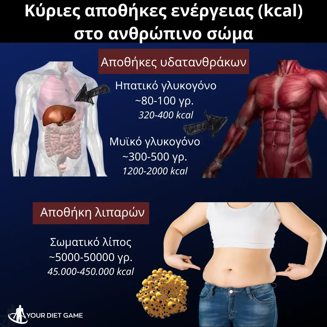 energy-stores-yourdietgame-gr
