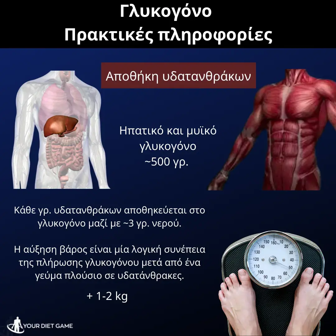 glycogen-yourdietgame-gr