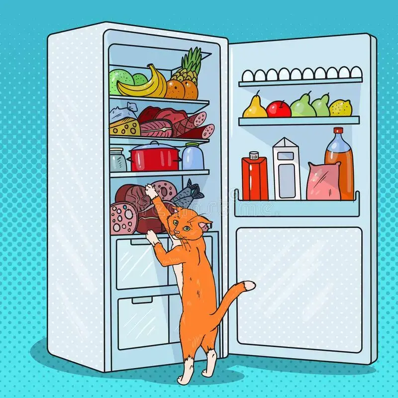 hungry cat